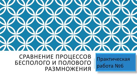Сравнение процессов бесполого и полового размножения - презентация онлайн