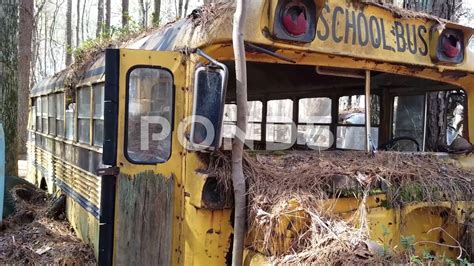 Abandoned School Bus – Telegraph