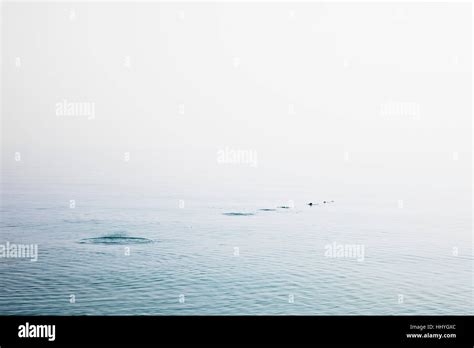 Skipping Stone Water Ripples Hi Res Stock Photography And Images Alamy