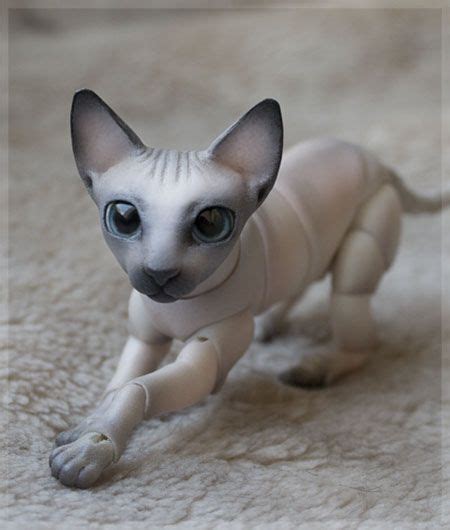 Sphynx Cat Fursuit Republicofcatus