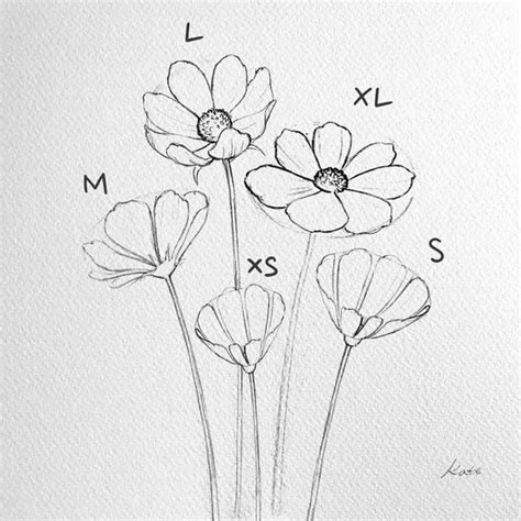 Flower Drawing Draw An Easy Flower Step By Step Flower Drawing