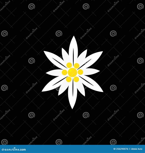 Edelweiss Flower Icon Template Illustration Stock Vector Illustration