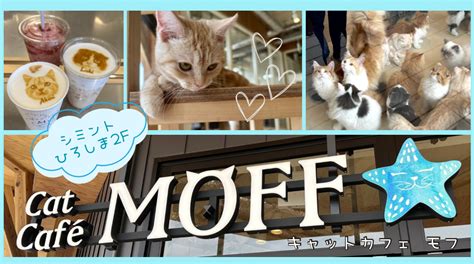 シミント広島の猫カフェmoffに行ってきたよ！【広島ゲートパーク内・旧市民球場跡地】 Finding Fun Fan