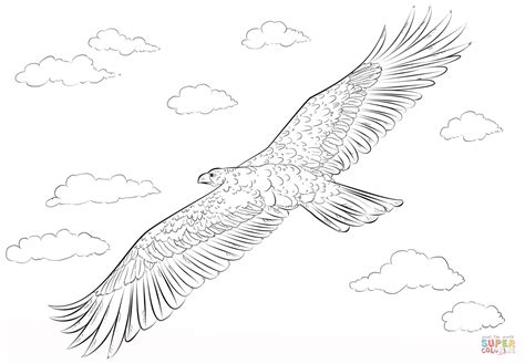 Coloriage Aigle Royal En Vol Coloriages à Imprimer Gratuits