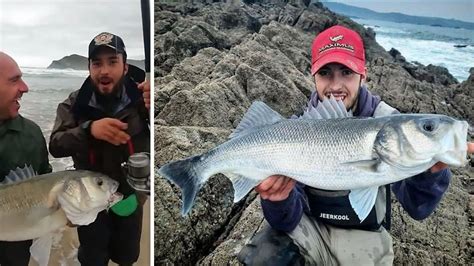 Los Consejos De Un Especialista En La Pesca De Lubinas Gigantes A