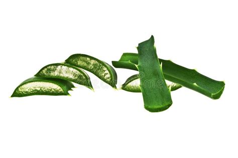 Hojas De Aloe Vera Con Rodajas Aisladas En Fondo Blanco Imagen De