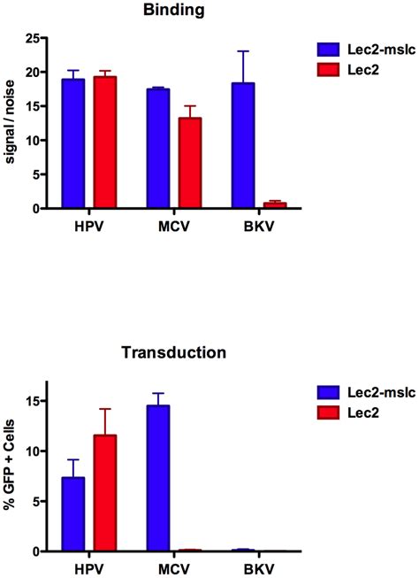 Binding And Transduction Of Sialic Acid Deficient Cells Binding Of