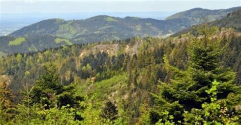 Seebach Wanderung Ber Den Karlsruher Grat Bergfex Wanderung