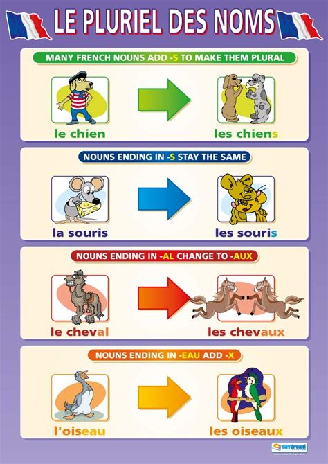 Buy Le Pluriel Des Noms Language Learning S Laminated Gloss Paper