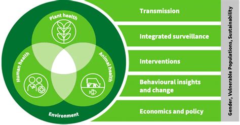 One Health Priority Research Agenda On Antimicrobial Resistance Amr