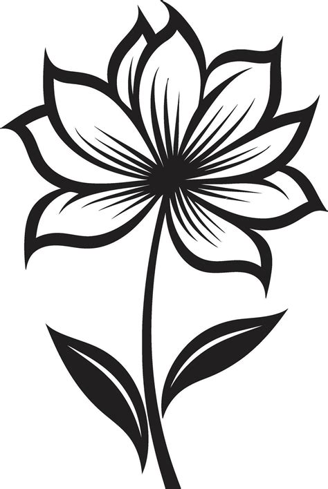 Hand Rendered Petal Sketch Monochrome Emblem Sketchy Bloom Design Black