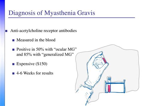 Ppt Myasthenia Gravis A Neurologists Perspective Powerpoint