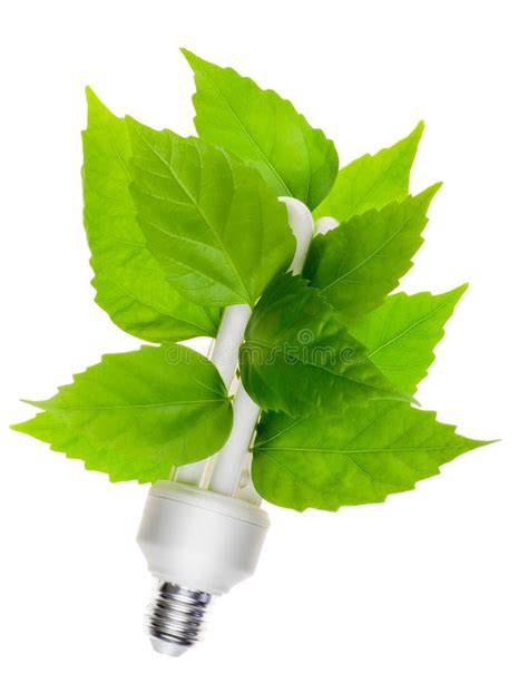 Green Energy Concept Stock Photo Image Of Technology 17116894