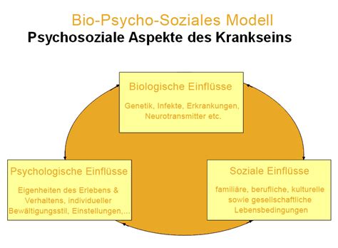 Biopsychosoziales Modell Depression Higgibt