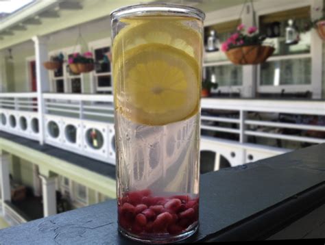 Lemon Pomegranate Infused Water - Infused Waters