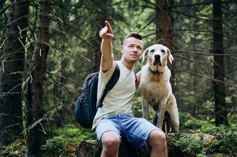 Caminante Con Perro En El Bosque Foto Premium