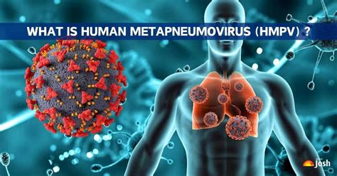 What Is Human Metapneumovirus HMPV Check Symptoms Causes And