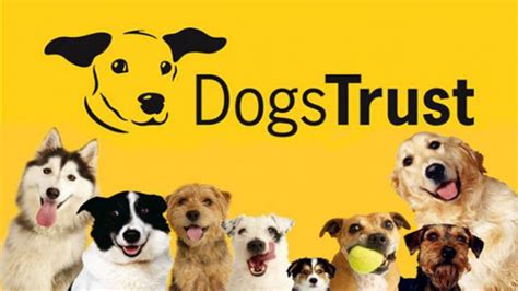 Dogs Trust