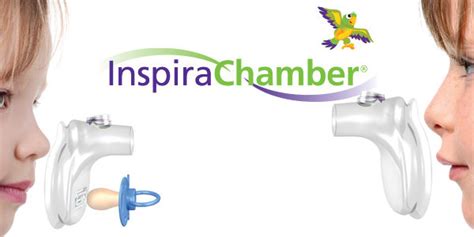 Inspirachamber Bfw Advertising