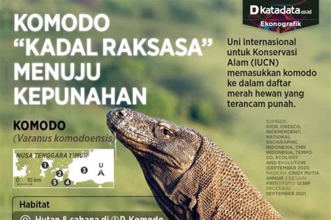 Berita Komodo Terbaru Dan Terkini Hari Ini Katadata Co Id