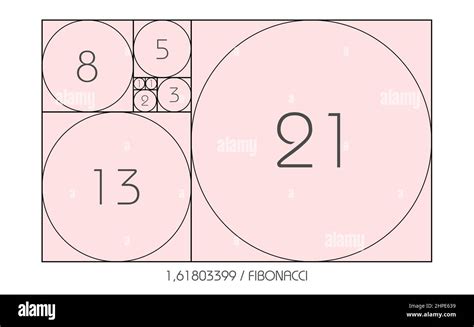 C Rculo De Secuencia Fibonacci Relaci N Dorada Formas Geom Tricas En