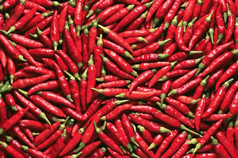 Royalty Free Chili Pepper Pictures Images And Stock Photos Istock