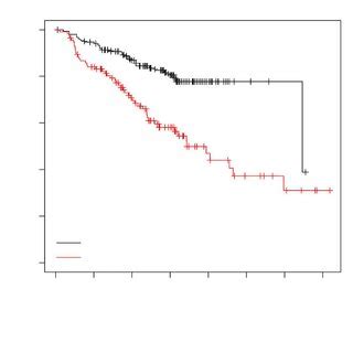 Differential Expressions Of PBK In Tumors PBK PDZ Binding Kinase