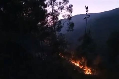 Kobaran Api Melalap Hutan Di Lereng Gunung Merbabu