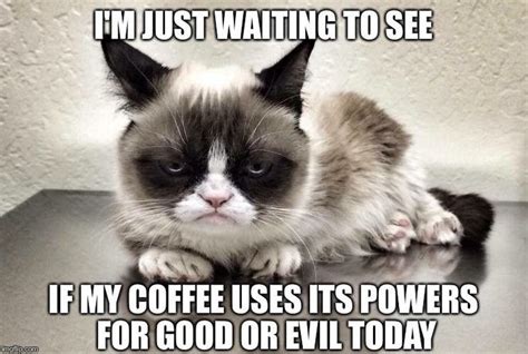 A Grumpy Cat Sitting On Top Of A Table With The Caption Im Just Waiting To See If My Coffee