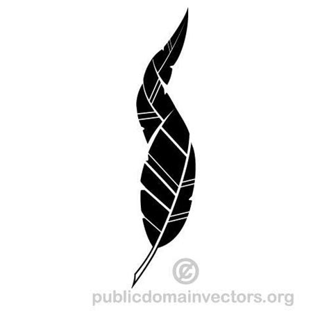 Black Feather Vector Graphics Public Domain Vectors