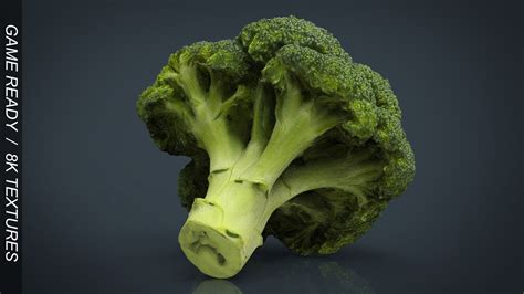 Broccoli 3d Model