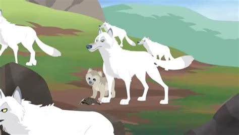 Wild Kratts Arctic Wolf