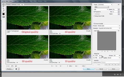 optimising website graphics pictura creative