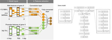 Convolutional Neural Networks Zhongxu Blog