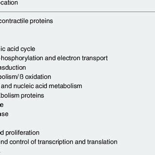 Functional Classification Of The Proteins Identified In The Myocardium