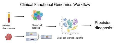 Clinical Functional Genomics