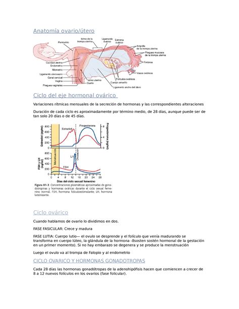 Fisiologia presencial Anatomía ovario útero Ciclo del eje hormonal