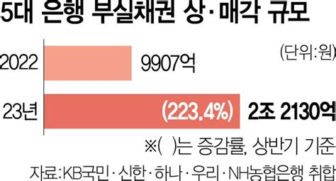 5대 은행 상반기 부실채 손실처리·매각 22조작년의 22배 서울경제