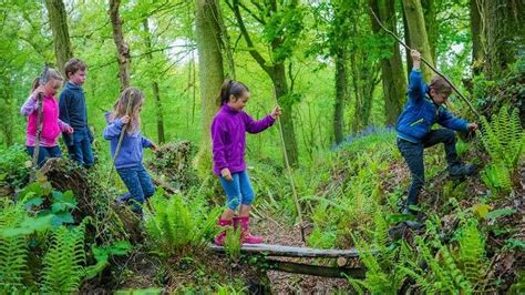 Pedagogisk Planering I Skolbanken Lekar Skogen