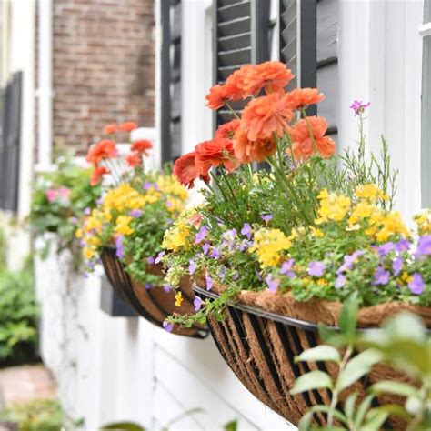 20 Window Box Flower Ideas What Flowers To Plant In Window Boxes