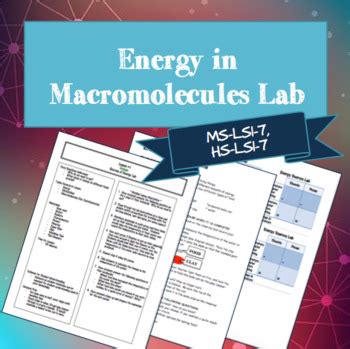 Energy In Macromolecules Lab Ngss Hs Ls Ms Ls By Geekology