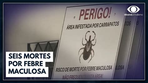 Confirmadas 6 Mortes Por Febre Maculosa No Estado De SP Bora Brasil