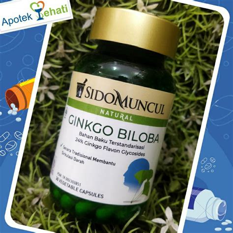 Jual Sido Muncul Ginkgo Biloba Isi Vegetable Capsules Membantu