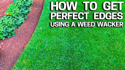 How To Get Perfect Lawn Edges With A Weed Wacker Youtube