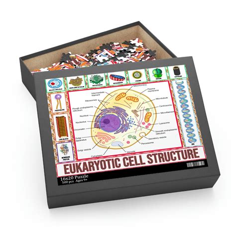 Cell Structure Puzzle Science Puzzles Cell Biology Puzzles