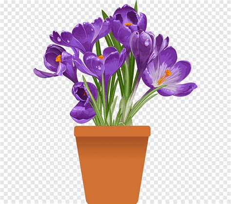 Plant Flowerpot Flower Pot Purple Herbaceous Plant Png PNGEgg