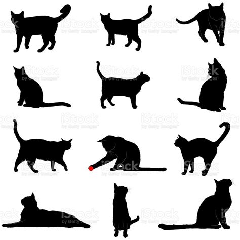 Vector Silhouettes Of Various Domestic Cat Poses Gatos Gatos Vector