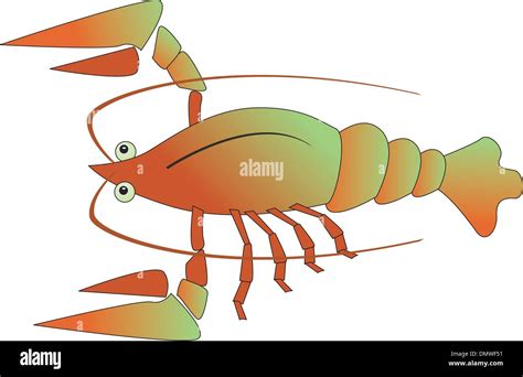 Illustration Of Crayfish Hi Res Stock Photography And Images Alamy