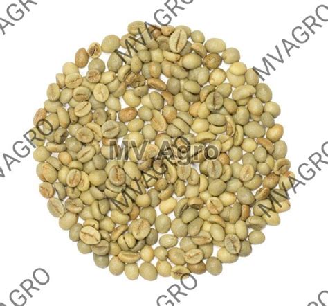 Robusta Cherry C Green Coffee Beans Unwashed Scr 14 At Rs 300 In