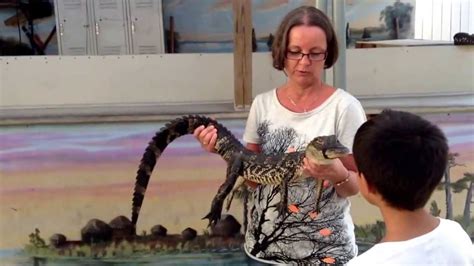 Dec 10 2013 Karin Holding An Aligator Youtube